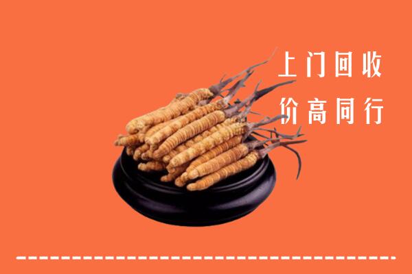 高价求购：吴忠市盐池回收散虫草