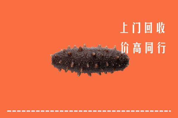 高价求购：吴忠市盐池回收海参