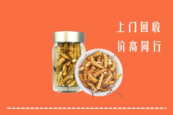 吴忠市盐池回收冬虫夏草