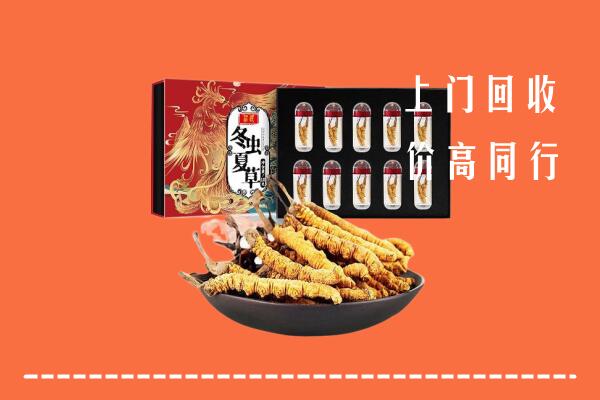 吴忠市盐池回收虫草